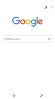 QQ手机浏览器历史版本之iPad版8.509，新手友好，快速响应执行方案