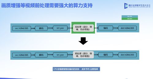 怎么查看系统版本号,灵活性执行计划 VIP_v10.269