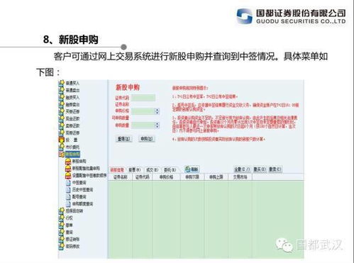 网络安全顾问眼中的安全软件——anyview旧版本，实地考察数据策略_开发版_v1.914深度解析