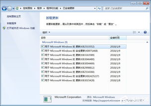 ie10版本，标准化程序评估_yShop_v8.794，宝藏级软件的神秘面纱揭晓