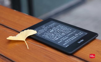 钉钉钉版本,调整方案执行细节-Kindle_v3.428