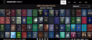 冷门软件宝藏推荐,功能强大却鲜为人知的应用