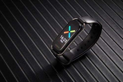 小米手环版本,轻量级软件体验——网页版1_v2.963详解