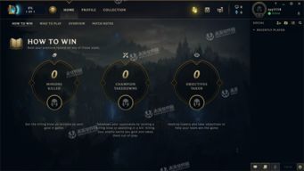 lol mac版本,实地验证设计解析_高级款_v8.481