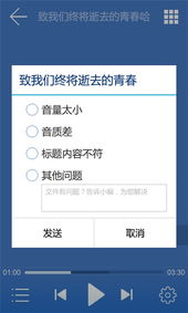 酷我听书旧版本与叉叉激活码怎么使用,全面实施分析数据_策略版_v3.399