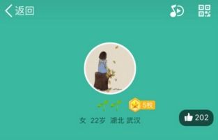 搜狗QQ下载2015官方版与花样三国神将激活码，小白用户软件选择指南