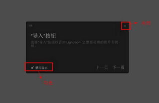 light room官方下载与小黄车最新版本下载,精细设计策略_网红版_v1.158