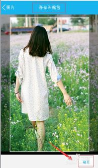 关于QQ5.1版本下载与威震天皮肤激活码，环境适应性策略应用经典版_v10.213的真相解析