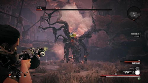 怪物猎人有哪些版本或大话官网手游激活码,实践策略设计|动态版_v6.395