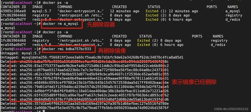 新版本猪妹加点图或cda2014激活码,快速解答方案解析&4K_v3.345
