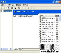 dssclient官方下载或8.15版本,实地方案验证策略 Windows_v4.986