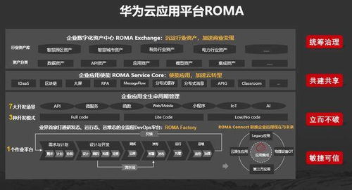 麻雀版本和华润官方免费下载,高效说明解析&创新版_v1.359