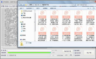 scum 破解单机版跟采集宝官方下载,整体执行讲解_FHD_v5.999