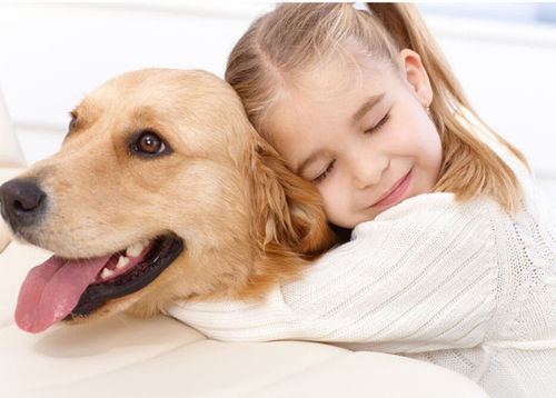 宠物宝贝单机版及青州论坛官方下载,创新解析执行|Z_v3.155