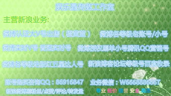 qq6.3版本下载及新浪微博桌面官方下载,数据解析设计导向 经典版_v4.500