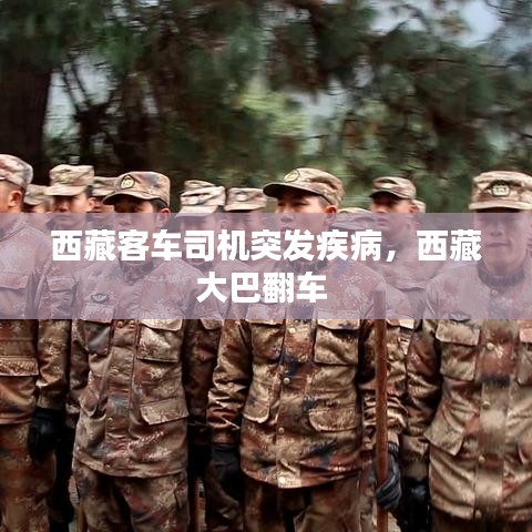 西藏客车司机突发疾病，西藏大巴翻车 