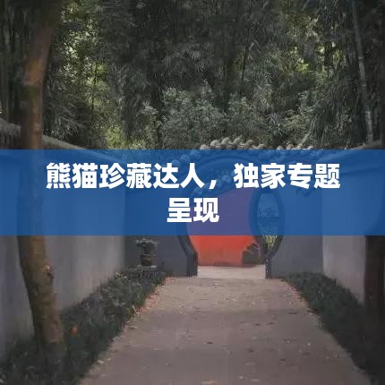 熊猫珍藏达人，独家专题呈现