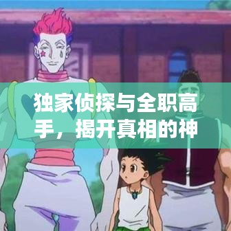 独家侦探与全职高手，揭开真相的神秘面纱