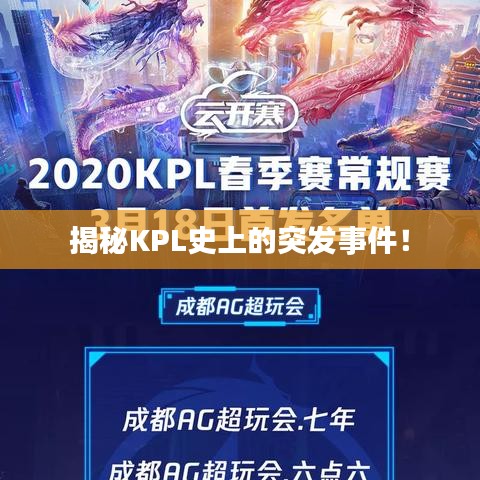 精品斯诺克台球桌 第49页