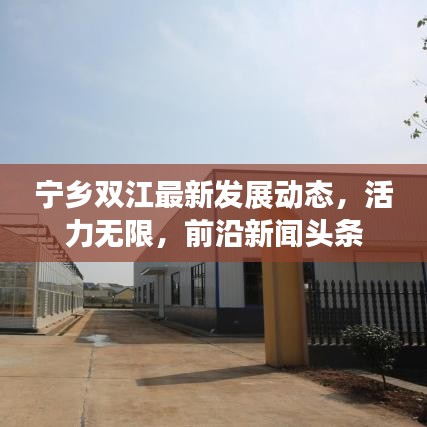宁乡双江最新发展动态，活力无限，前沿新闻头条