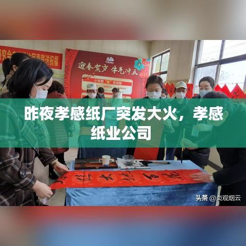 精品斯诺克台球桌 第44页
