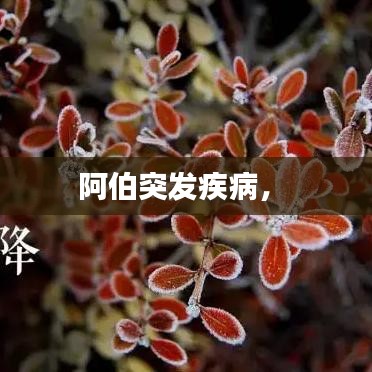 阿伯突发疾病， 