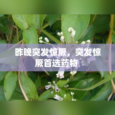 昨晚突发惊厥，突发惊厥首选药物 