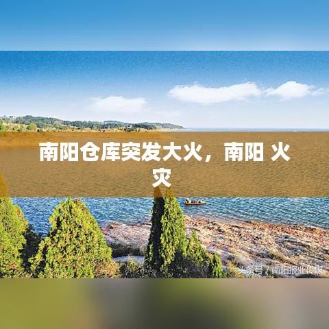 南阳仓库突发大火，南阳 火灾 