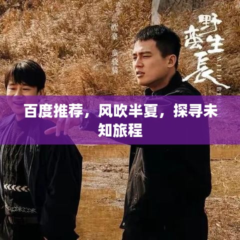 百度推荐，风吹半夏，探寻未知旅程