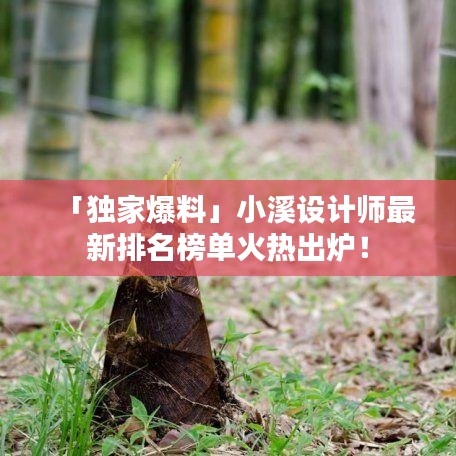 「独家爆料」小溪设计师最新排名榜单火热出炉！