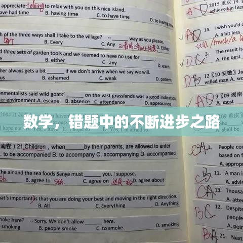 数学，错题中的不断进步之路