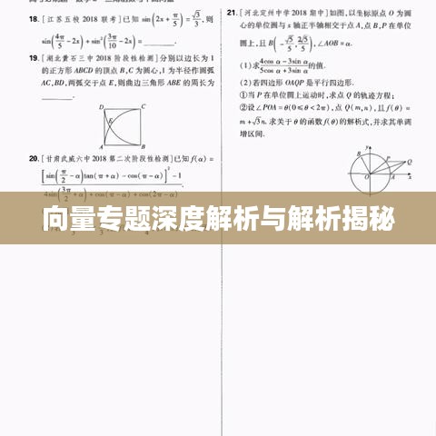 向量专题深度解析与解析揭秘