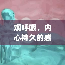 观呼吸，内心持久的感悟之旅