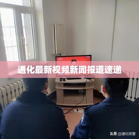 飞扬拨扈