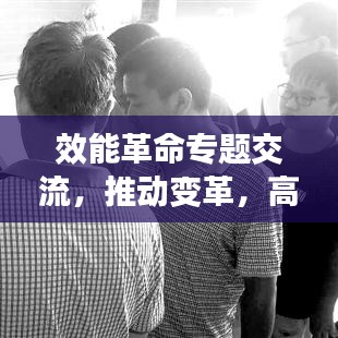效能革命专题交流，推动变革，高效发展之路