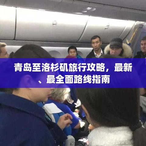 产品中心 第172页