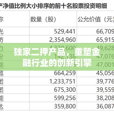 独家二押产品，重塑金融行业的创新引擎