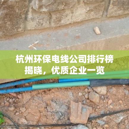 杭州环保电线公司排行榜揭晓，优质企业一览