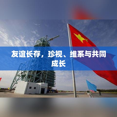 友谊长存，珍视、维系与共同成长