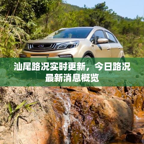 飞天遁地