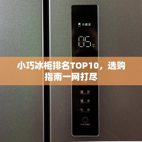 小巧冰柜排名TOP10，选购指南一网打尽