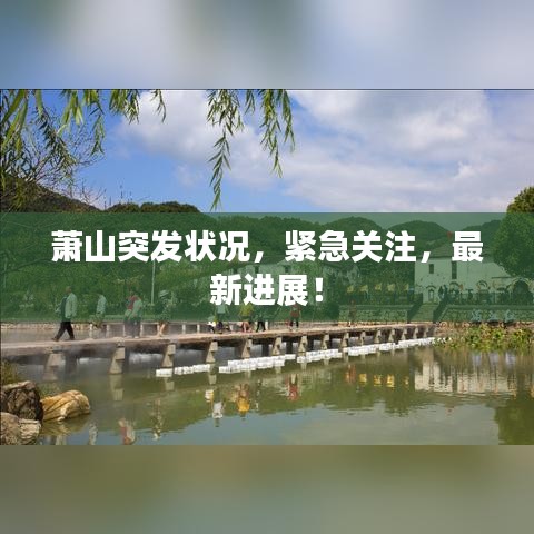萧山突发状况，紧急关注，最新进展！