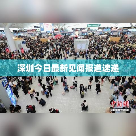 深圳今日最新见闻报道速递