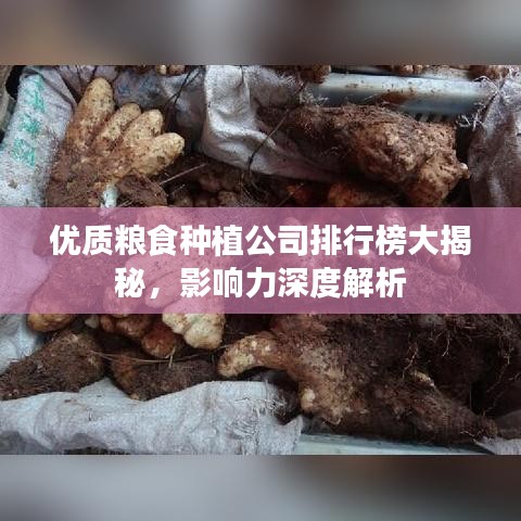 张飞穿针