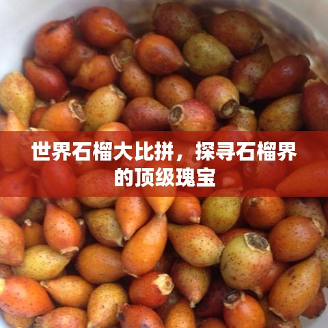 中式台球桌 第12页