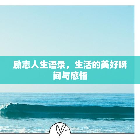龙飞九五