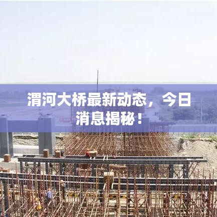 渭河大桥最新动态，今日消息揭秘！