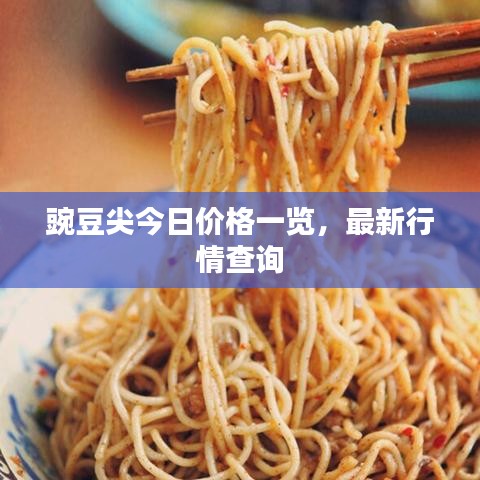 资质荣誉 第9页