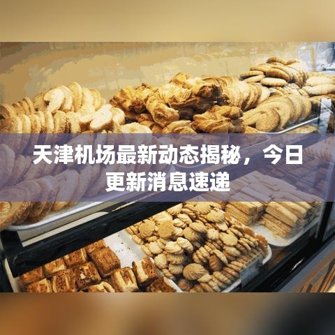 中式台球桌 第9页