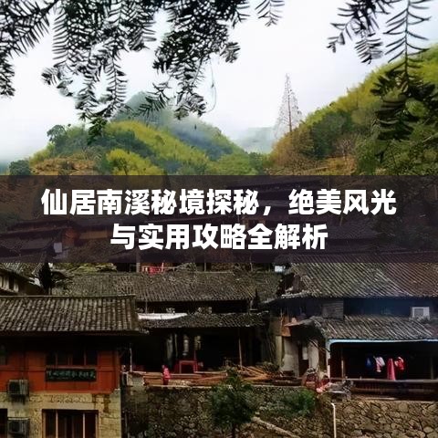 不畏权贵